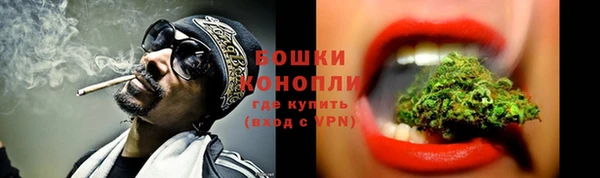 ECSTASY Гусев