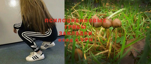 мескалин Дмитров