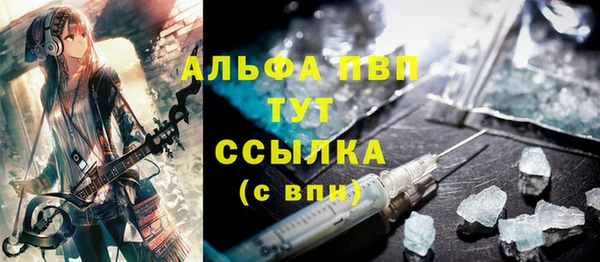 ECSTASY Гусев