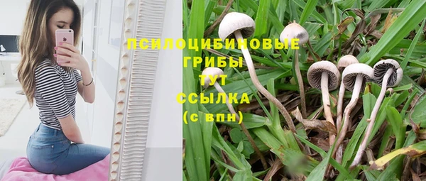 2c-b Гусь-Хрустальный