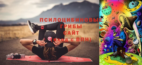 ECSTASY Гусев
