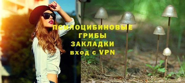 2c-b Гусь-Хрустальный
